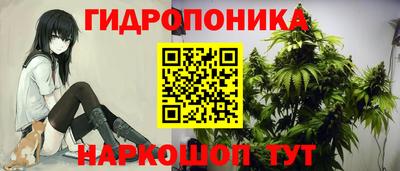 spice Краснодар