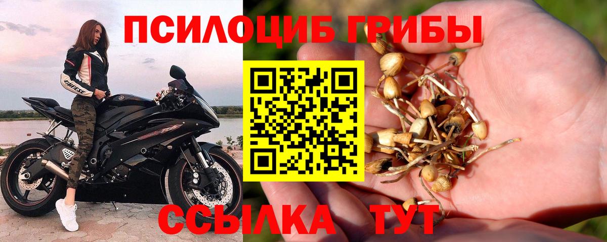 Галлюциногенные грибы Magic Shrooms Когалым